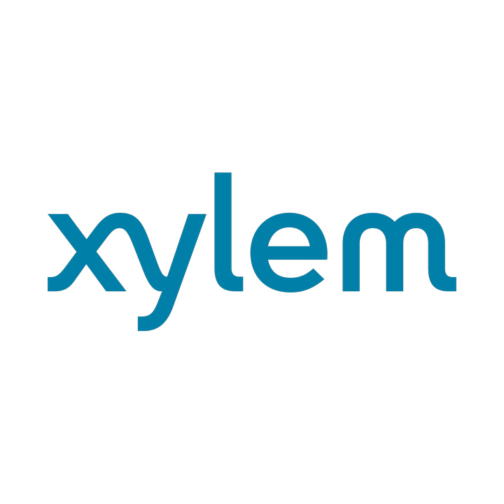xylem